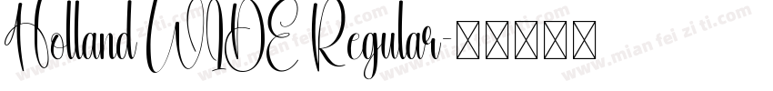 Holland WIDE Regular字体转换